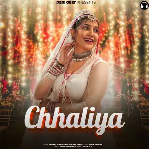 Chhaliya (feat. Vivek Raghav) 