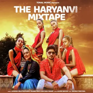 The Haryanvi Mixtape image