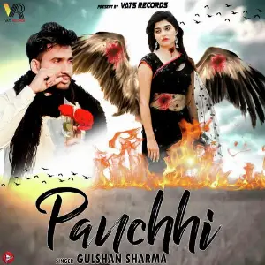 Panchi image