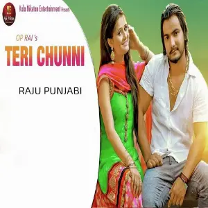 Teri Chunni image